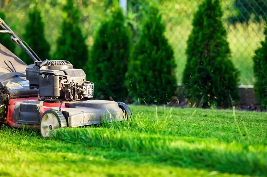 Web para Jardineros/Landscaping